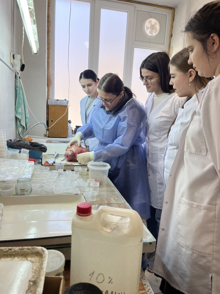 Meeting of the Pathomorphology Student Club