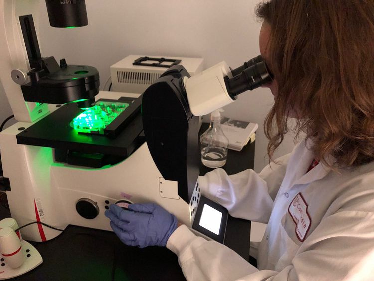 Student of the School of Medicine participated in the research internship at Concordia University - Montreal (Canada)