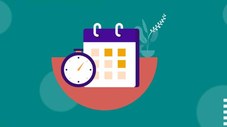The schedule of consultations and reworks for August 2022 has been published